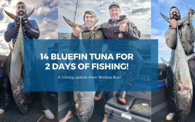 14 Bluefin Tuna in 2 days of fishing!