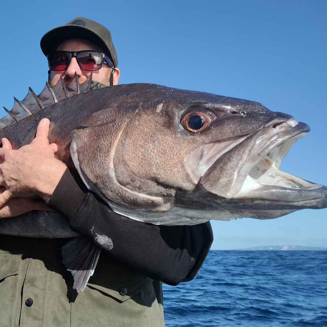 two men catching fish at the same time