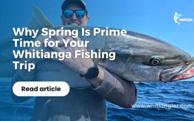 Why Spring Is Prime Time for Your Whitianga Fishing Trip